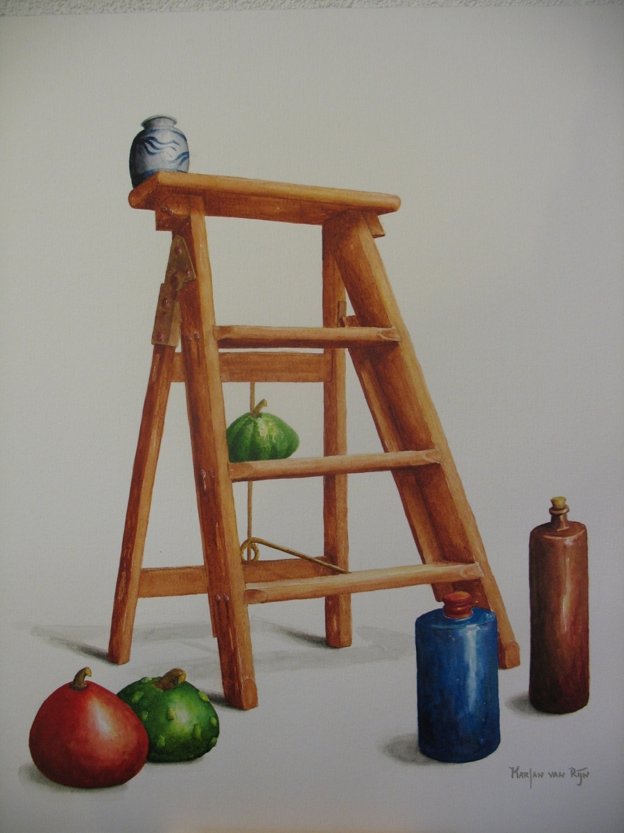 Blauwe druifjes, 50x40 cm, Aquarel 2010