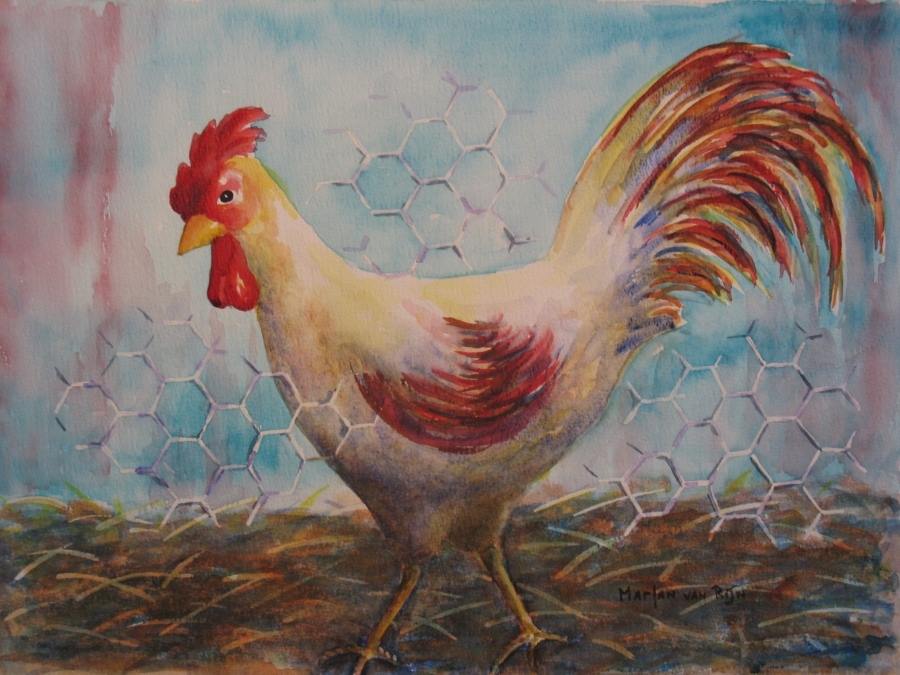 Haan, 30x40 cm, Aquarel 2010