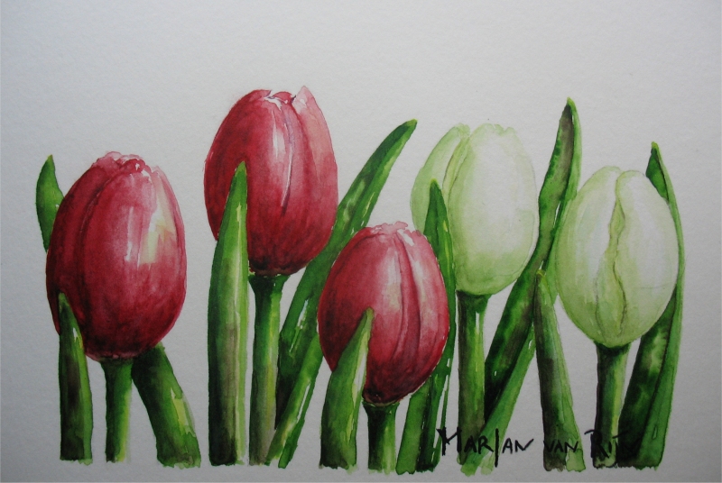 Pruimen in schaaltje, 17x12 cm, Aquarel 2010